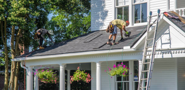 Best Gutter Installation and Roofing  in Mount Vernon, TX