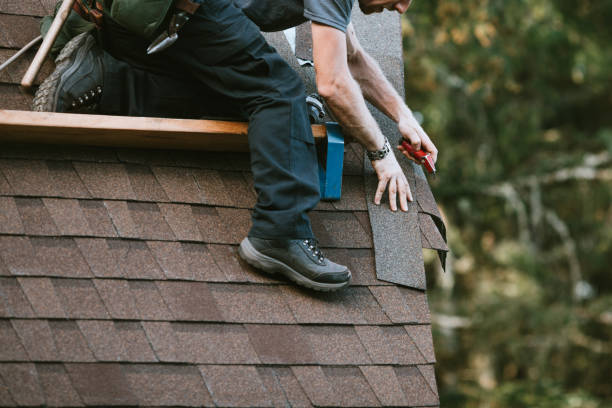 Best Roof Gutter Cleaning  in Mount Vernon, TX